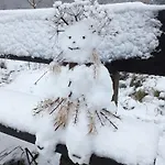 Funny Jungle Im Hahnenklee *