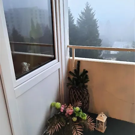 Lejlighed Funny Jungle Im Hahnenklee *