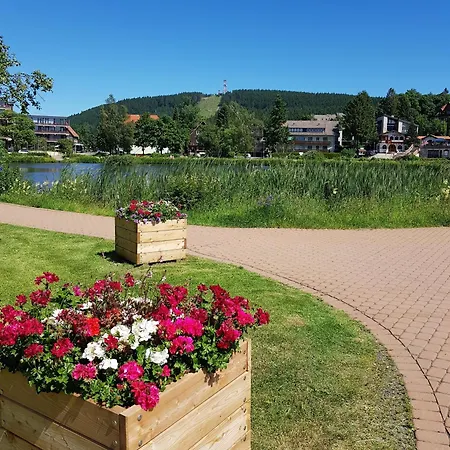 Funny Jungle Im Hahnenklee Apartment *