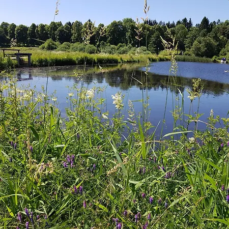 Apartamento Funny Jungle Im Hahnenklee *