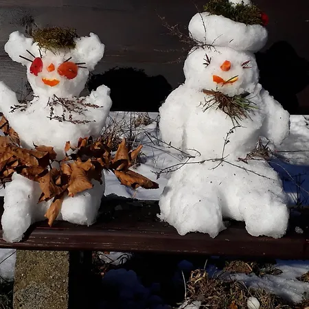 Apartamento Funny Jungle Im Hahnenklee Goslar