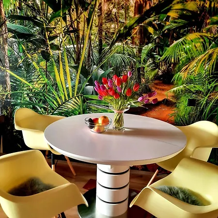 Funny Jungle Im Hahnenklee Lejlighed Goslar