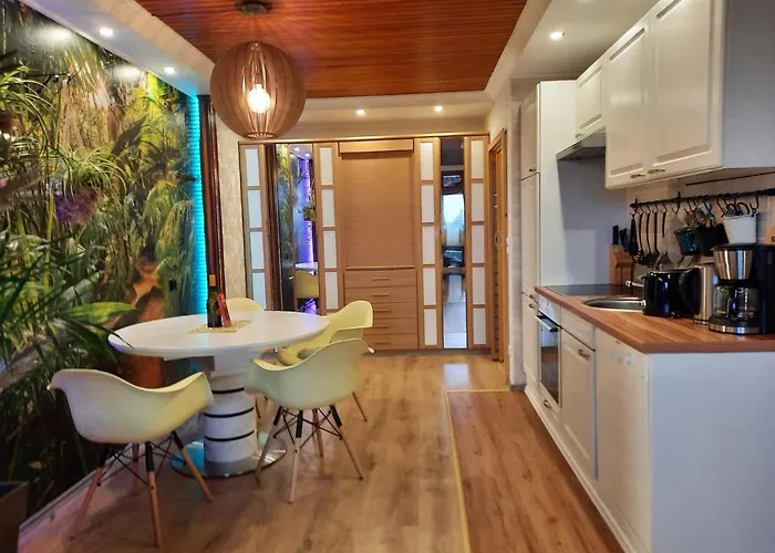 Funny Jungle Im Hahnenklee Goslar