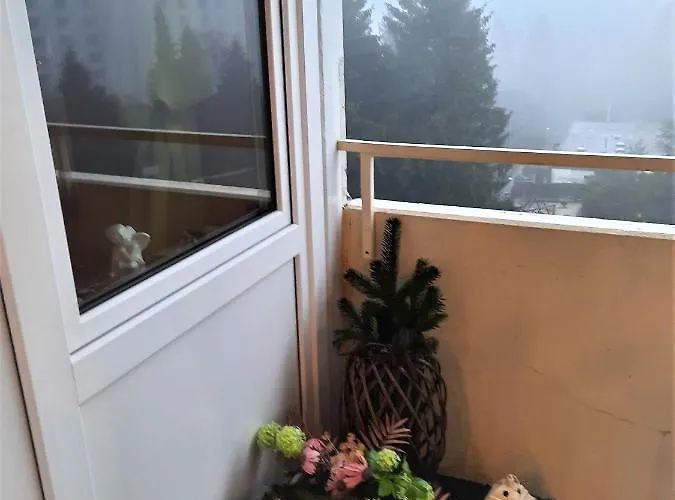 Appartamento Funny Jungle Im Hahnenklee *