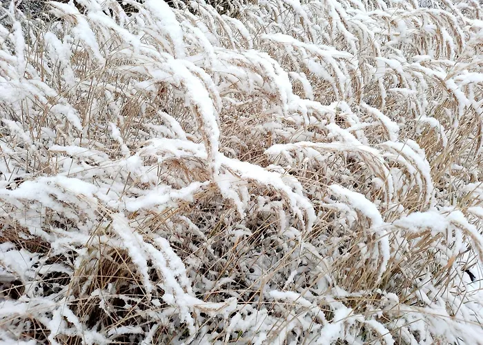 Funny Jungle Im Hahnenklee Appartamento Goslar