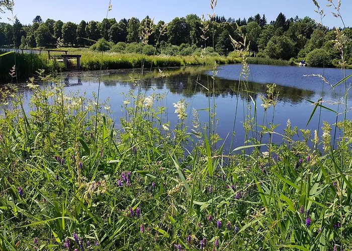 Apartamento Funny Jungle Im Hahnenklee *