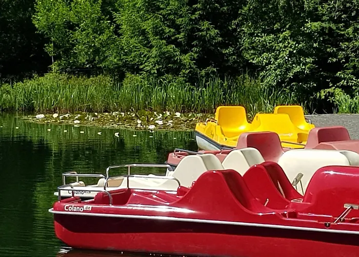 Funny Jungle Im Hahnenklee Апартаменты *