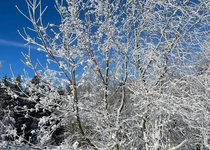 Funny Jungle Im Hahnenklee Appartamento